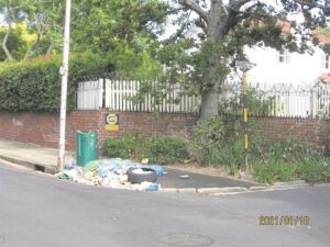 Green bins overflow