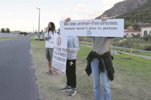 Animal rights activists call for wild animals to be banned from circuses