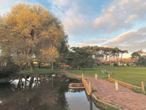 Request for borehole at Keurboom Park in Cape Town supported ‘in principle’