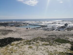 Foetus wrapped in plastic bag found on Sea Point Beach
