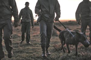 Ranger courage honoured