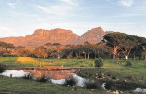 Keurboom Park Association keeps fingers crossed as City of Cape Town ponders borehole