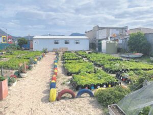 Garden project to create employment and hope for Vrygrond community