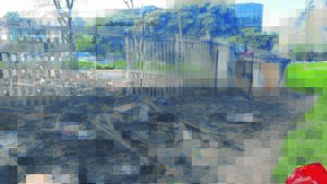 ‘I just woke up to the boy shouting’: Efforts to save homeless continue as fires rip into communities