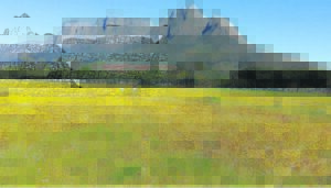 Teen robbed at gunpoint at Rondebosch Common