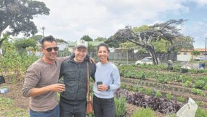 Grapa community garden’s first Market Day in Plumstead a great success