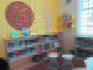 Primary school in Woodstock boasts a new library