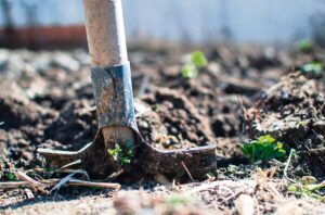Drive to plant trees digs deep