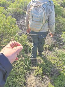 Trackers find at least 15 snares in wetlands