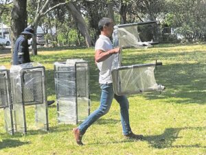 Rondebosch Park set for major upgrades