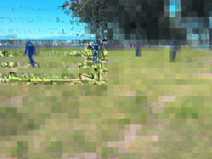 Landgrab attempt at a Mitchell’s Plain Sports Field foiled