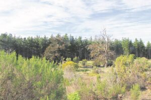 Review process enters final stretch