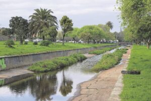 Canal gets a clean-up