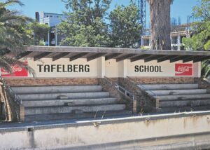 Housing activists demand affordable housing on Tafelberg site as legal battle continues