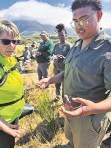 Team on a mission to unfasten snares throughout wetlands around peninsula