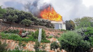 My Octopus Teacher’s Craig Foster’s home gutted by fire
