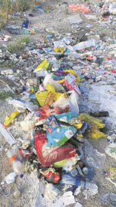 ‘It just seems to continue’: Illegal dumping a challenge in Retreat, says ward councillor