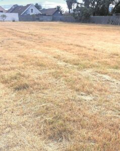 Support the campaign: Lotus High school’s field of dreams
