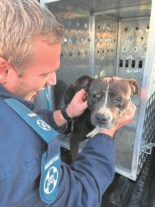 Minors found training dogs to fight