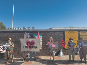 DFFE, SANParks and SA Navy in talks to find solutions for marine life in Simon’s Town