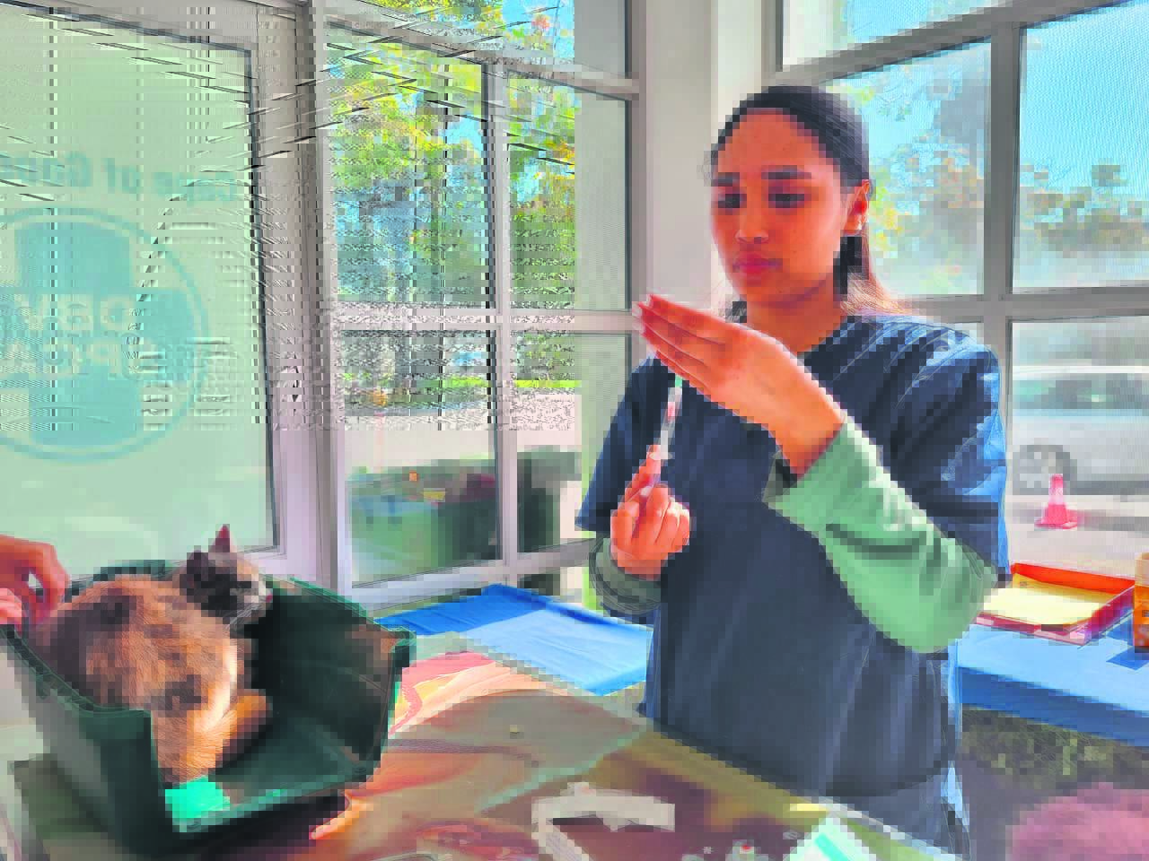 AWS SA embarks on mass pet sterilisation