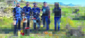 ‘Hackathon’ for nature