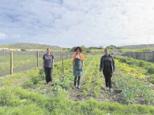 ‘A community deprived’: Theft and vandalism a devastating loss for Ocean View farmers