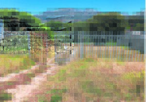 Mowing backlog hits snag
