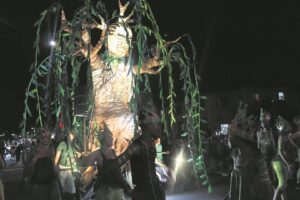 PICS | Cape Town Carnival makes a dazzling return to its parade format
