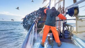 Application window for fishing rights allocation process closing