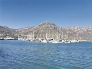 ‘We were heard’: Small-scale fishers welcome outcome of ‘transparent’ verification process