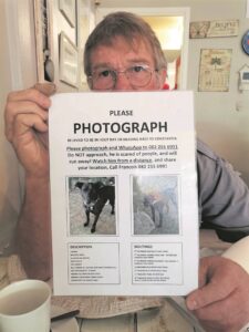 Legalities of lost pets posters