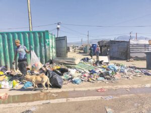 Overcome Heights community in pain as rats invade their homes