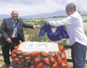 Heritage made easy – scan and learn at Princess Vlei