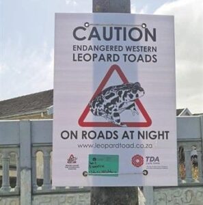 Road construction plans proceed despite concerns for endangered wildlife