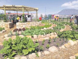 Philisa Abafazi Bethu in Lavender Hill launches garden