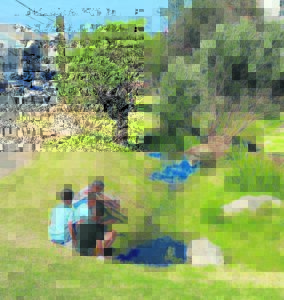 Restoration at Muizenberg Park is gaining momentum