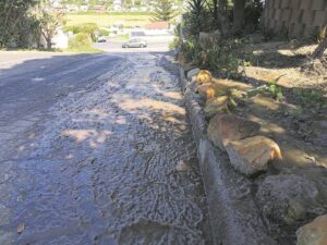 ‘The smell is terrible’: Residents of Glencairn Heights wait days for sewage leak to be fixed
