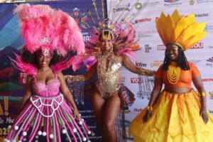 Get ready for the 15th Cape Town Carnival: A spectacle of art, dance, and culture