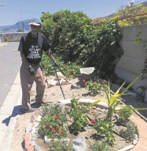 82-year-old Retreat resident transforms dumping ground into a thriving garden