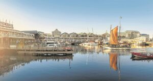 Cape Animal Welfare Forum calls on V&A Waterfront to reconsider its New Year’s Ever fireworks