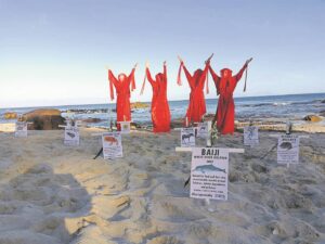 ‘Catastrophic loss of insect life’: Remembrance Day for lost species held at Cape Town beach