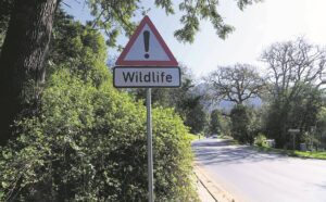 Keeping animals, residents safe