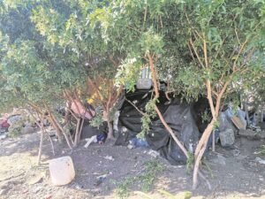 Frustration as tent cities remain
