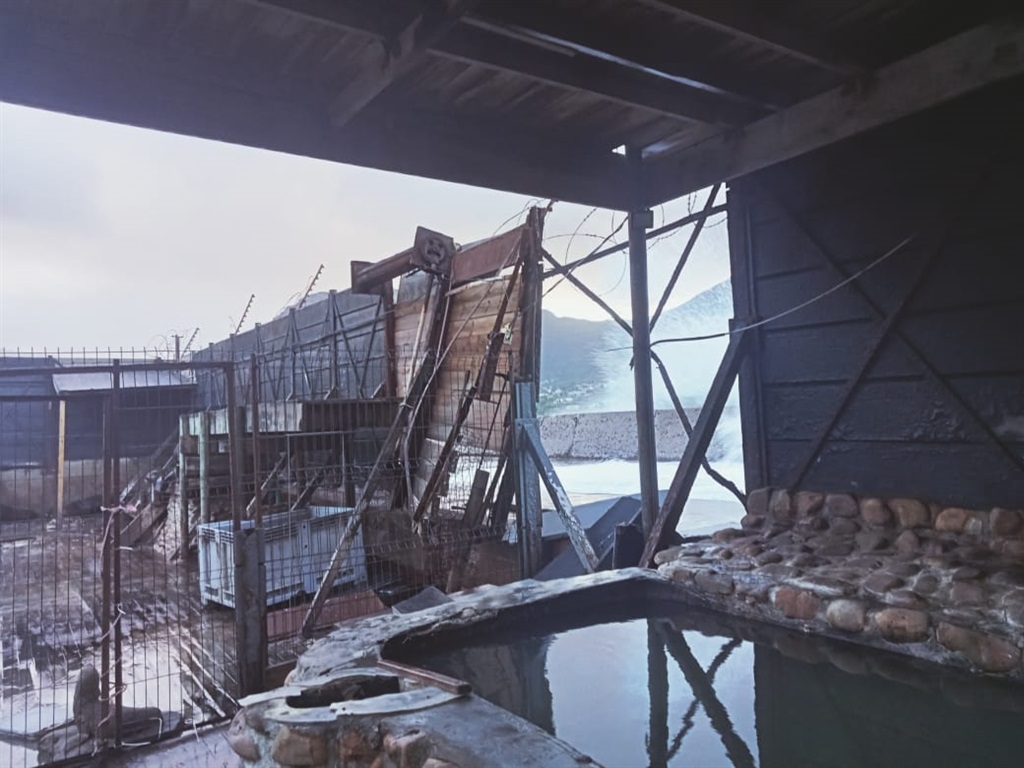 Hout Bay Seals Rescue Centre