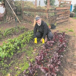 Plumstead’s Grapa community garden invites all to join in their success story, Spring Market
