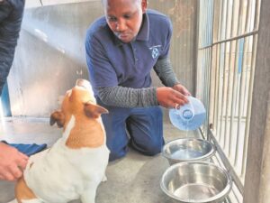 Cape of Good Hope SPCA flooded with donations amid Southern Suburbs water crisis