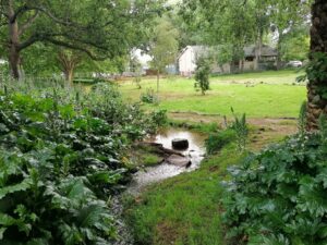 Open space catches shine