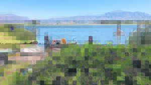 Biocontrol initiative to combat invasive water hyacinth at Princess Vlei using planthoppers