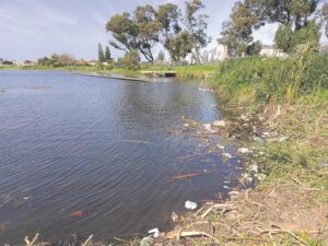 Little Princess Vlei being restored to ‘pristine condition’ after Leopard Toad’s mating season